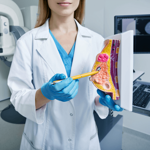 Mammography + Breast Ultrasound - Healthcare service image
