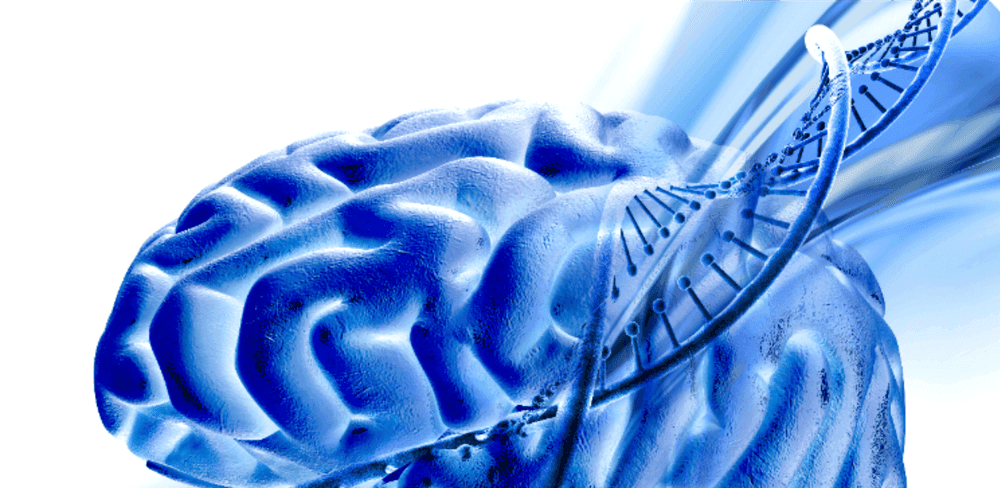  
QEEG Brain Mapping Session (45 Minutes) - Healthcare service image