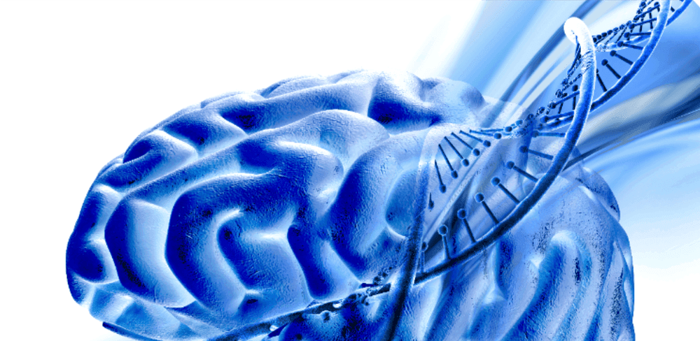  
QEEG Brain Mapping Session (60 Minutes) - Healthcare service image