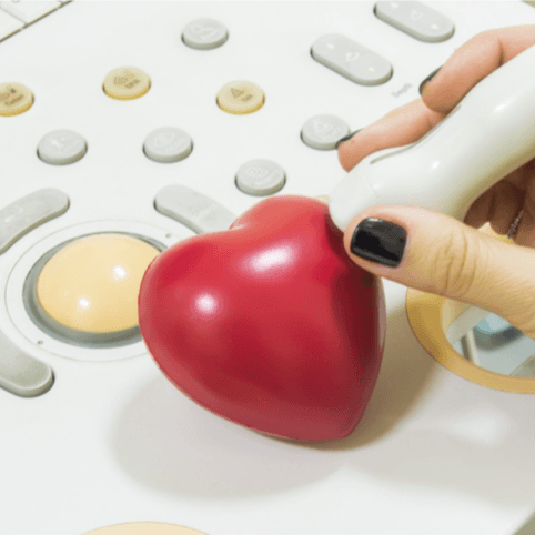  
Echocardiography (Echo) - Healthcare service image